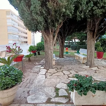 Holidays At My Spanish Grandma Проживание в семье Аликанте